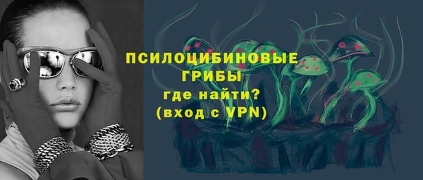 mix Бородино