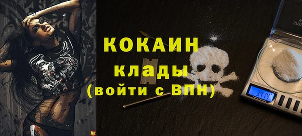 mix Бородино